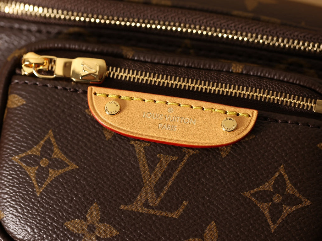 LV Monogram Mini Bumbag Bag