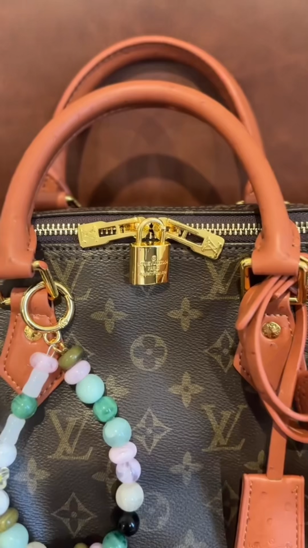 LV Speedy Soft 30 Boho Handbag