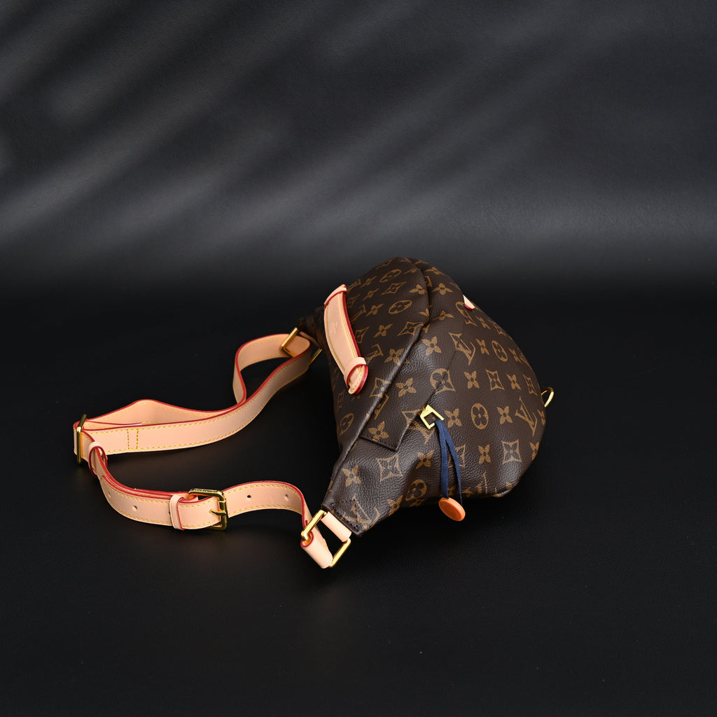 Louis Vuitton Bumbag – Monogram Canvas Waist & Crossbody Bag