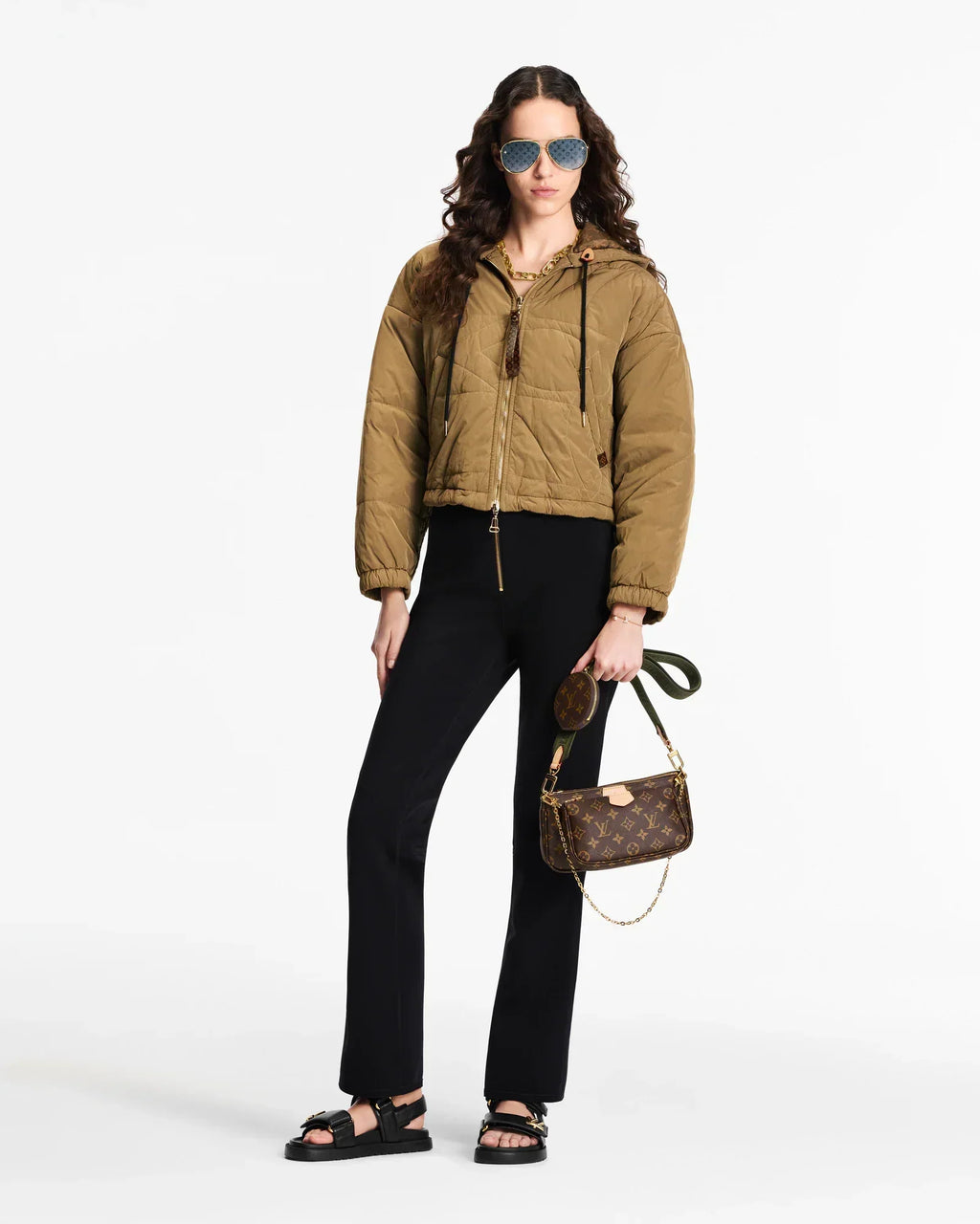 LV Multi Pochette Accessoires Bag