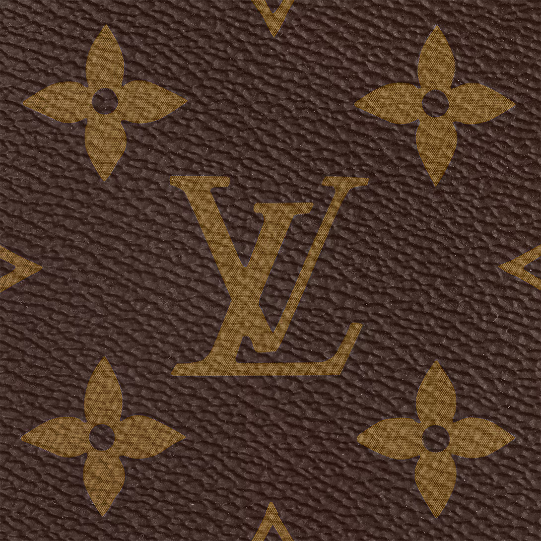 LV Multi Pochette Accessoires Bag