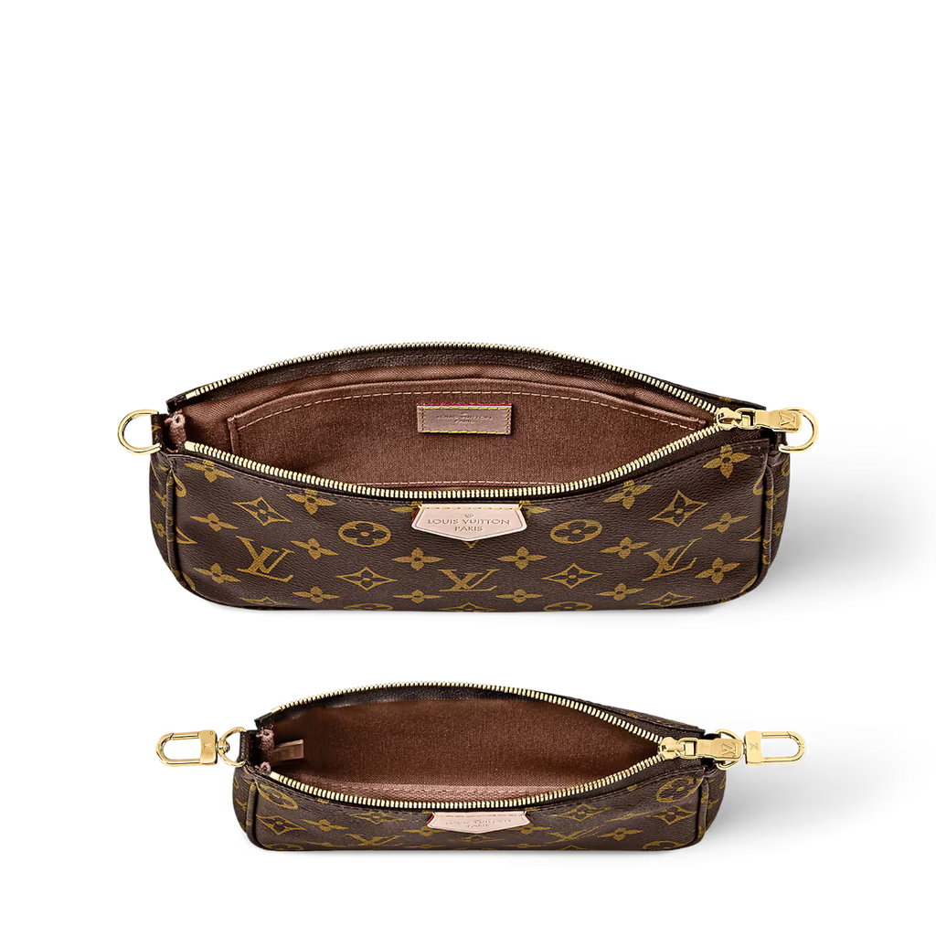 LV Multi Pochette Accessoires Bag