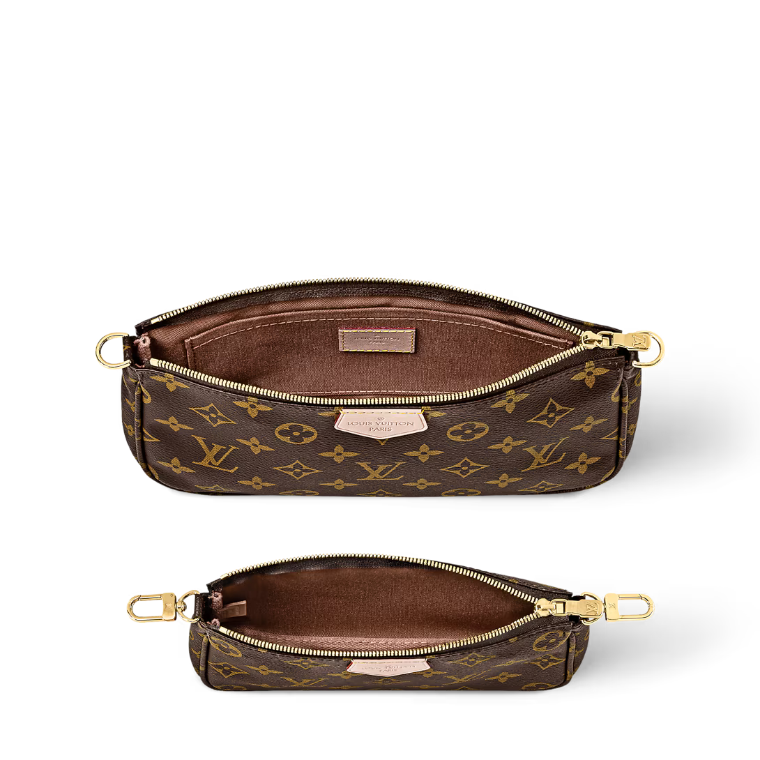 LV Multi Pochette Accessoires Bag