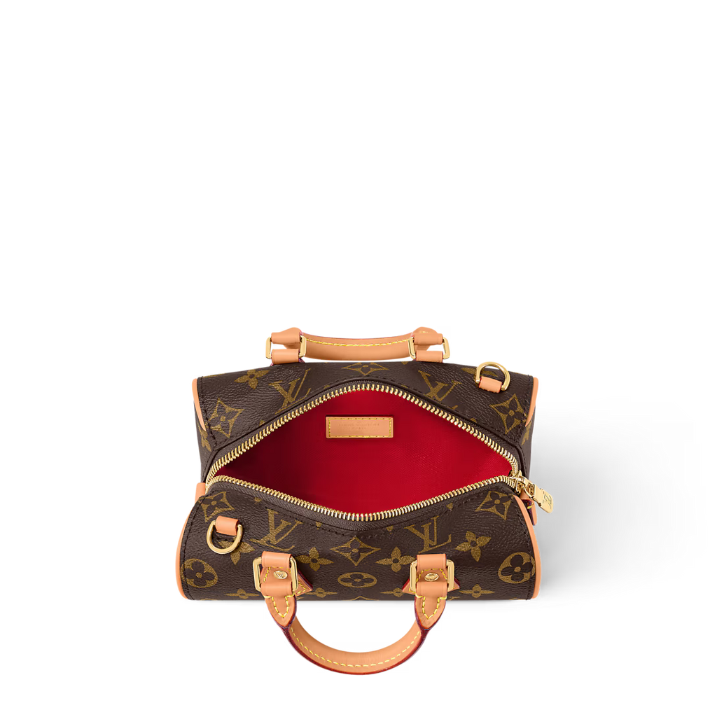 LV Nano Speedy Dating Bag