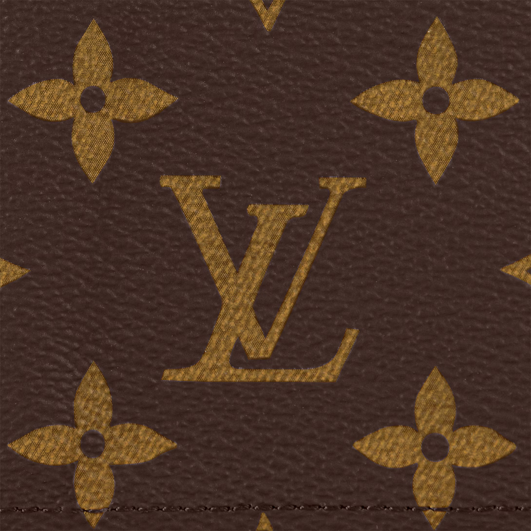 LV Passport Cover