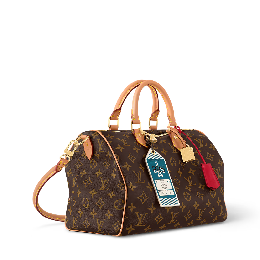 LV Speedy Soft 30 Crafty Bag