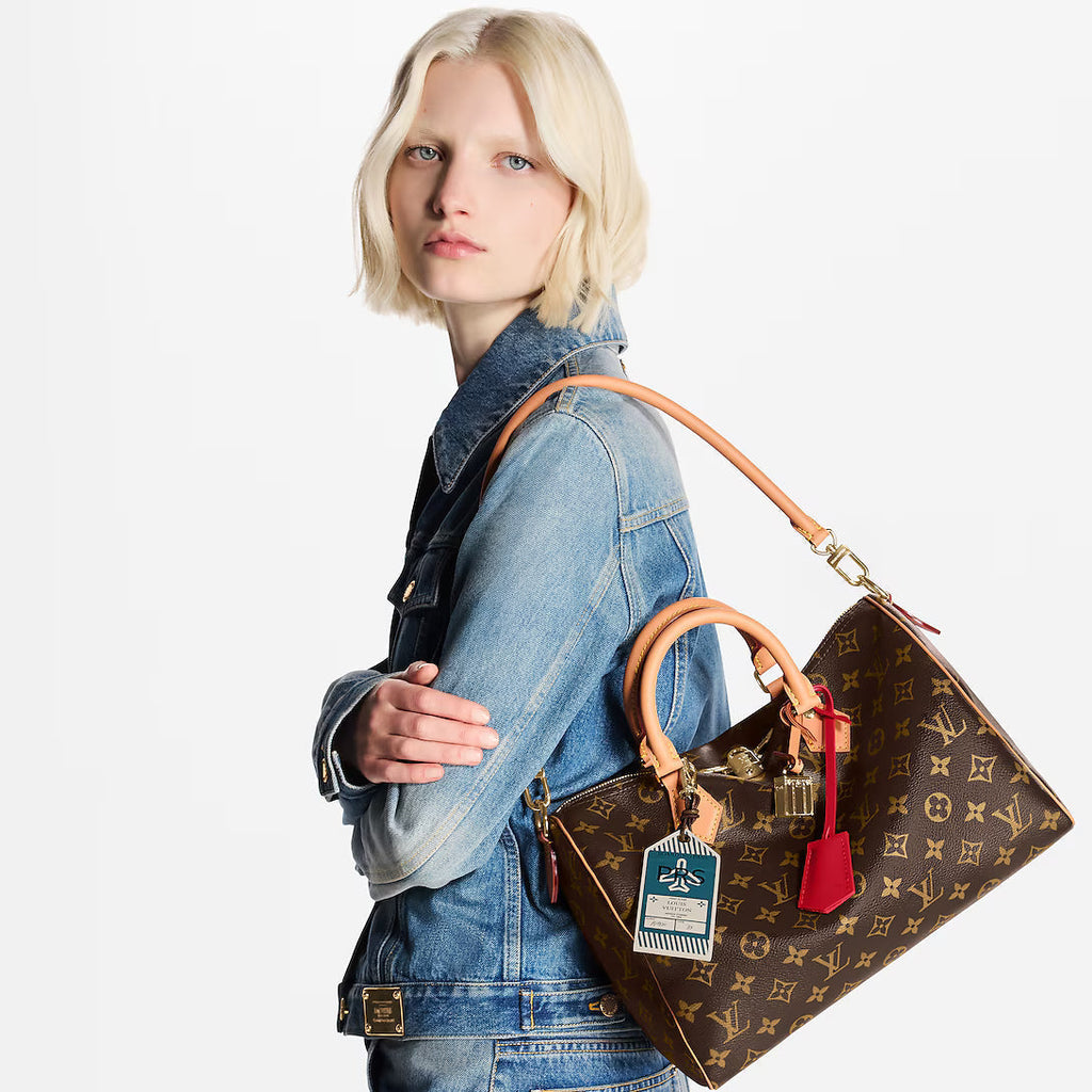 LV Speedy Soft 30 Crafty Bag